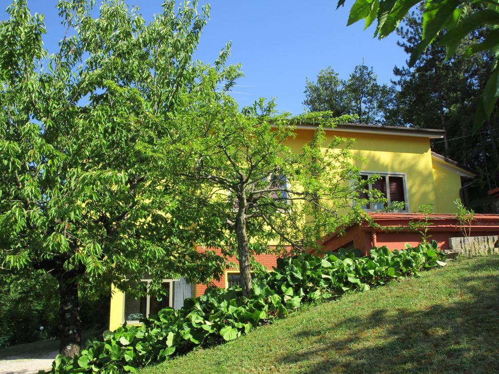 Casa Balducci Bed&Breakfast Mercatello sul Metauro 외부 사진