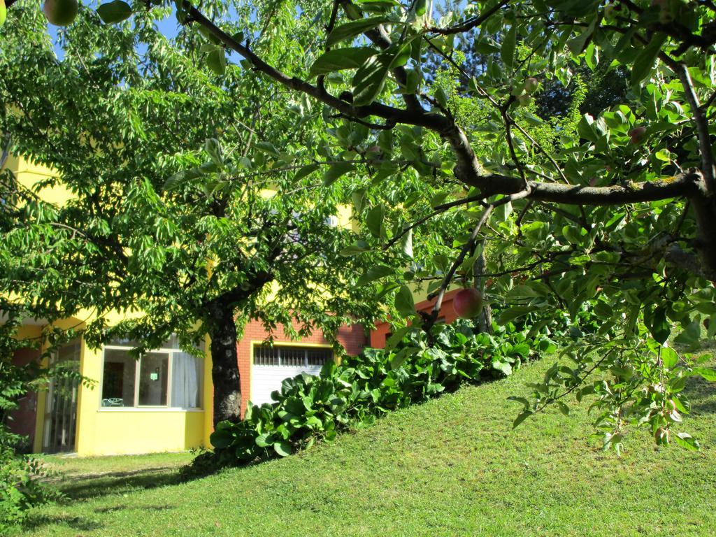 Casa Balducci Bed&Breakfast Mercatello sul Metauro 외부 사진