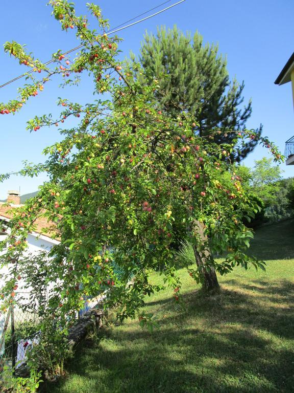 Casa Balducci Bed&Breakfast Mercatello sul Metauro 외부 사진
